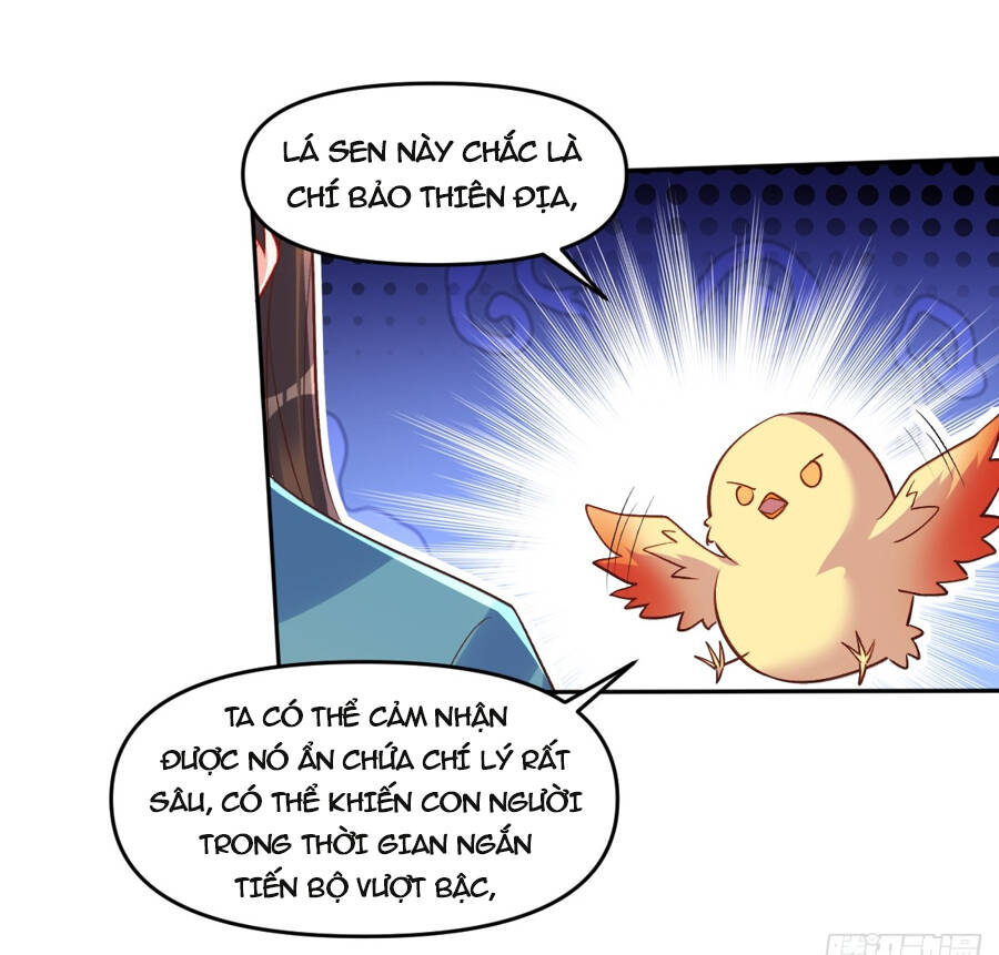 Nguyên Lai Ta Là Tu Tiên Đại Lão: Chapter 284