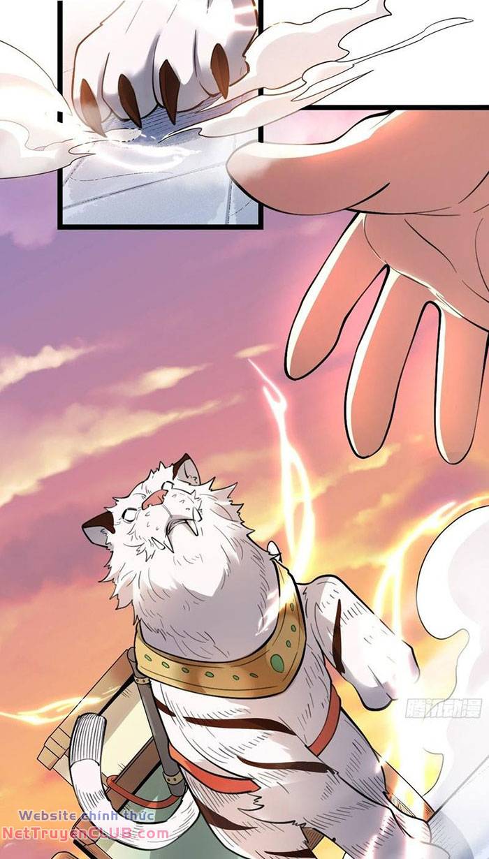 Nguyên Lai Ta Là Tu Tiên Đại Lão: Chapter 334