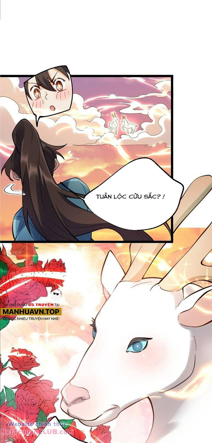 Nguyên Lai Ta Là Tu Tiên Đại Lão: Chapter 335