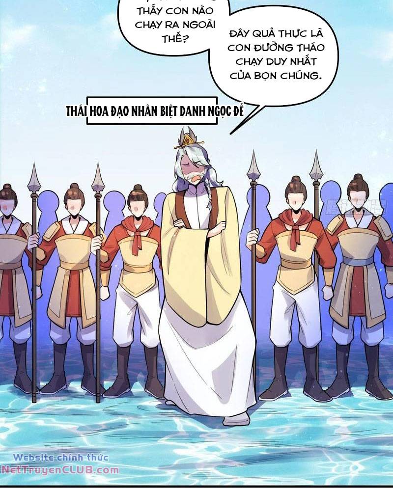Nguyên Lai Ta Là Tu Tiên Đại Lão: Chapter 343