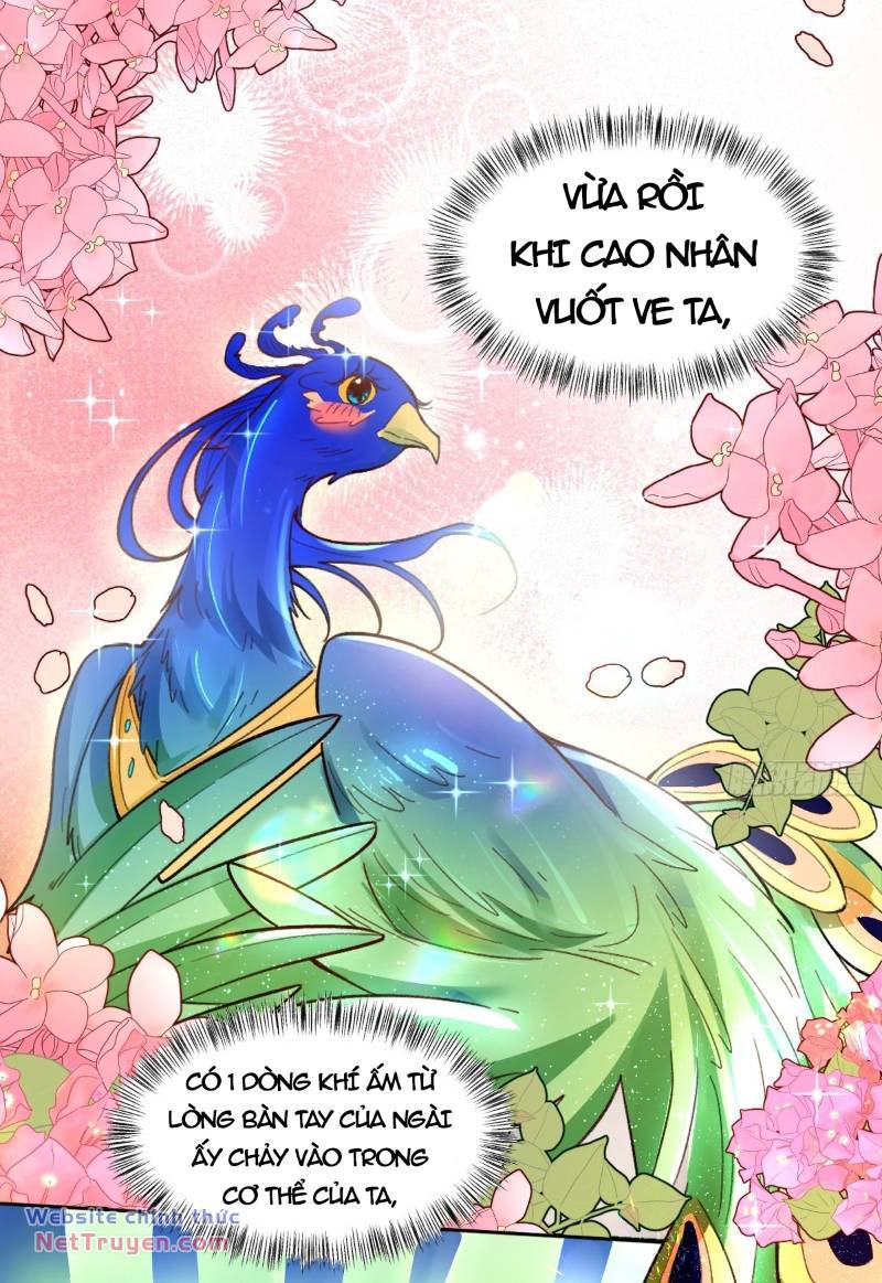 Nguyên Lai Ta Là Tu Tiên Đại Lão: Chapter 400