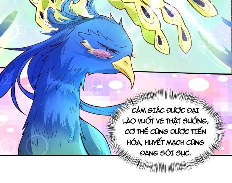Nguyên Lai Ta Là Tu Tiên Đại Lão: Chapter 400