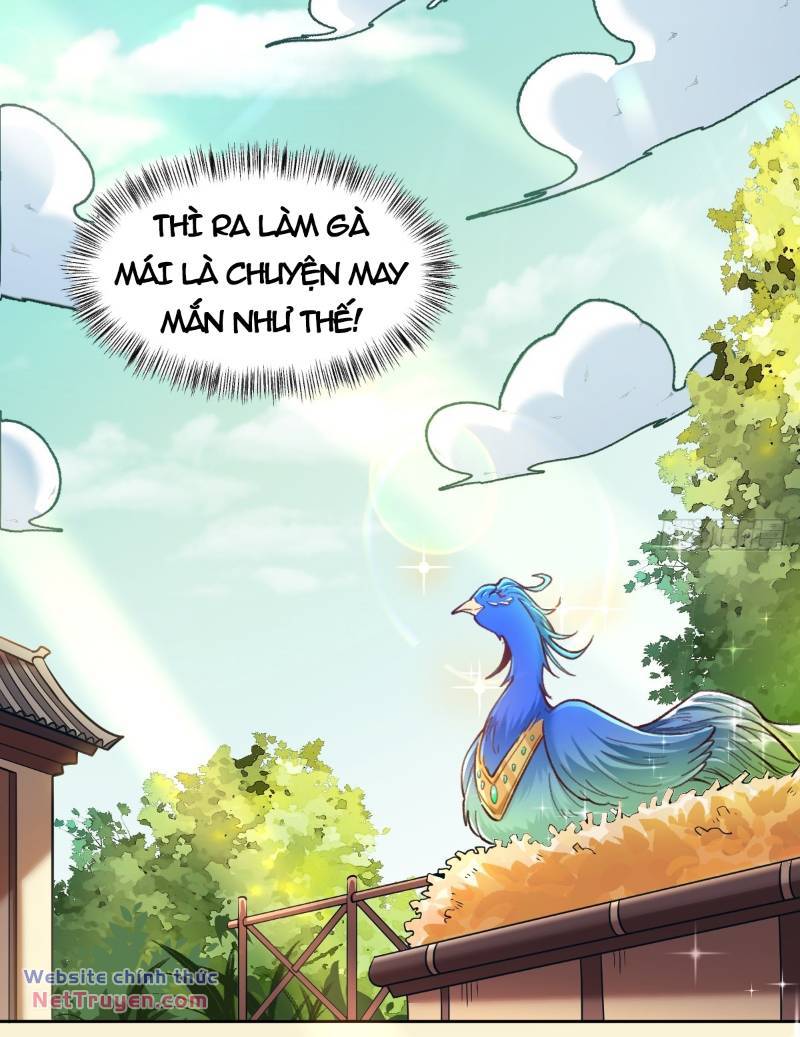 Nguyên Lai Ta Là Tu Tiên Đại Lão: Chapter 400
