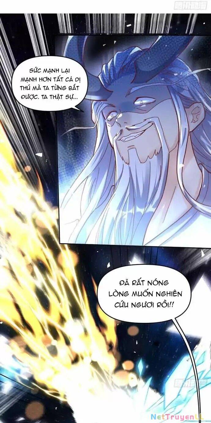 Nguyên Lai Ta Là Tu Tiên Đại Lão: Chapter 430