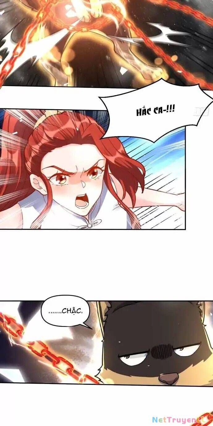 Nguyên Lai Ta Là Tu Tiên Đại Lão: Chapter 430