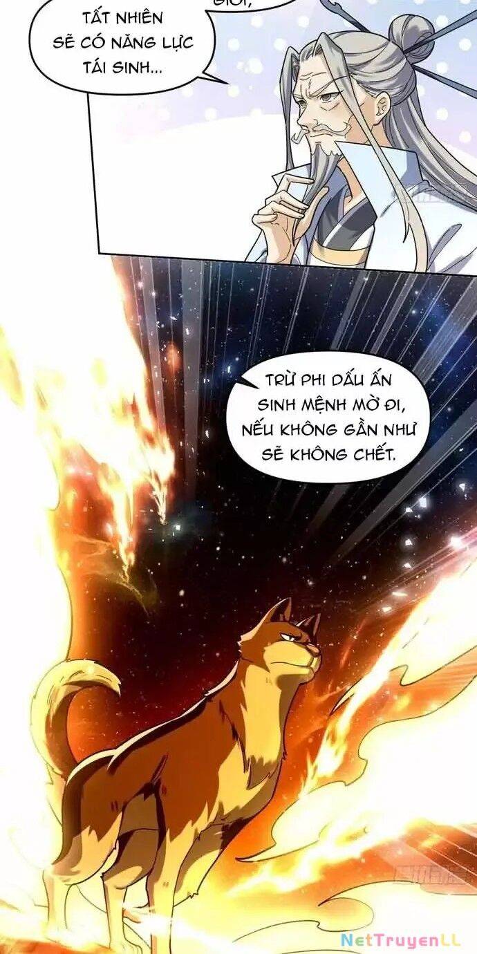 Nguyên Lai Ta Là Tu Tiên Đại Lão: Chapter 430