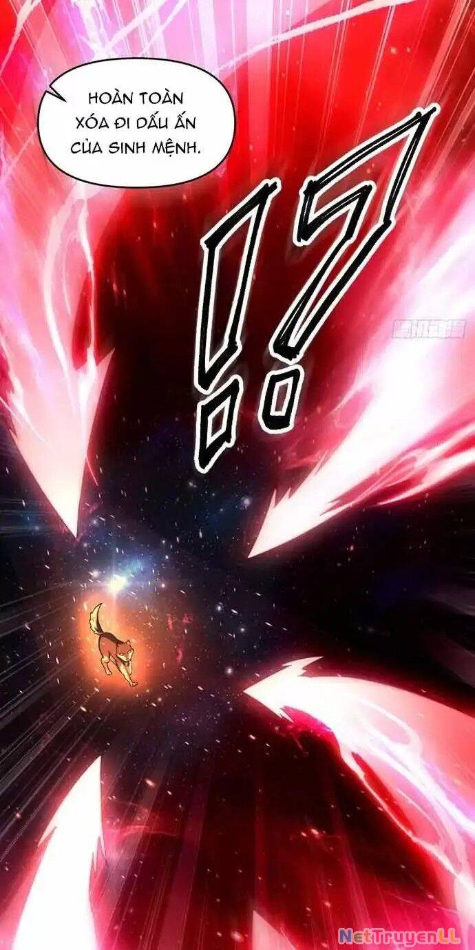 Nguyên Lai Ta Là Tu Tiên Đại Lão: Chapter 430