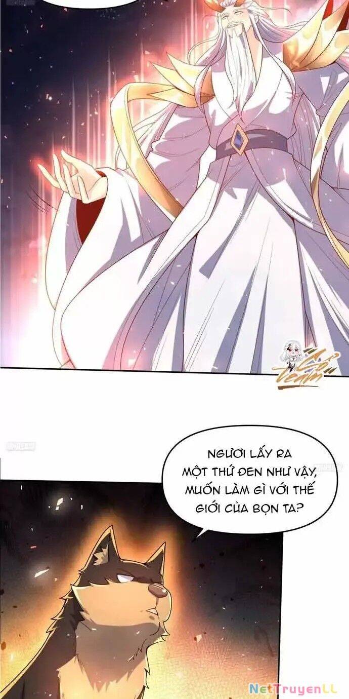 Nguyên Lai Ta Là Tu Tiên Đại Lão: Chapter 430
