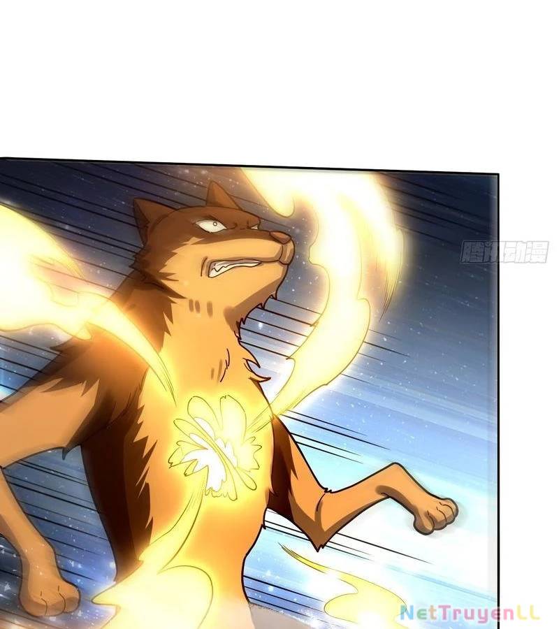 Nguyên Lai Ta Là Tu Tiên Đại Lão: Chapter 431