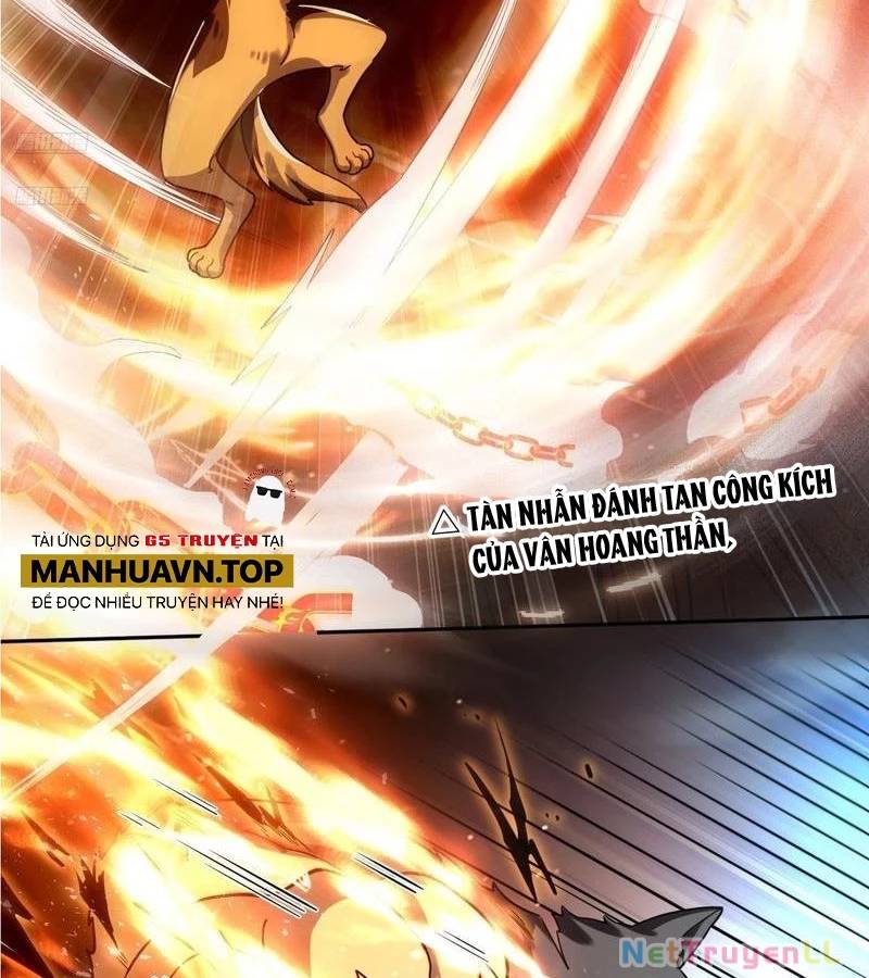 Nguyên Lai Ta Là Tu Tiên Đại Lão: Chapter 431