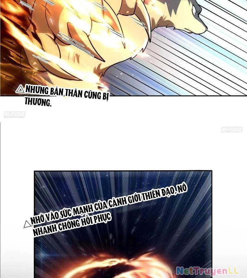 Nguyên Lai Ta Là Tu Tiên Đại Lão: Chapter 431