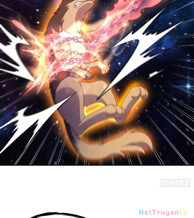Nguyên Lai Ta Là Tu Tiên Đại Lão: Chapter 431