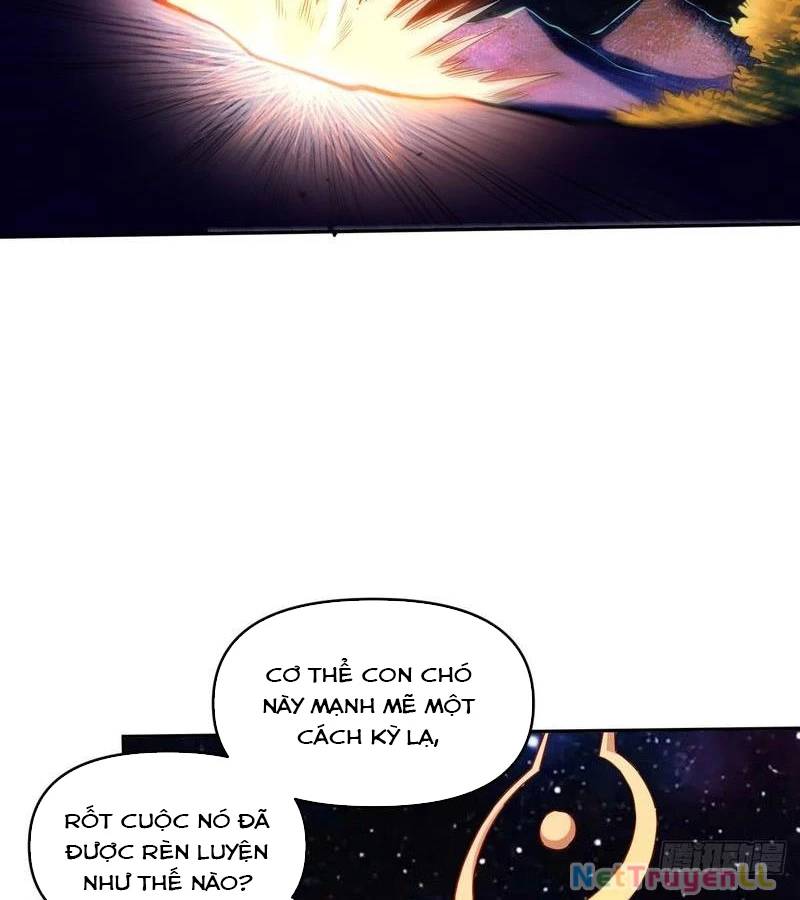 Nguyên Lai Ta Là Tu Tiên Đại Lão: Chapter 431
