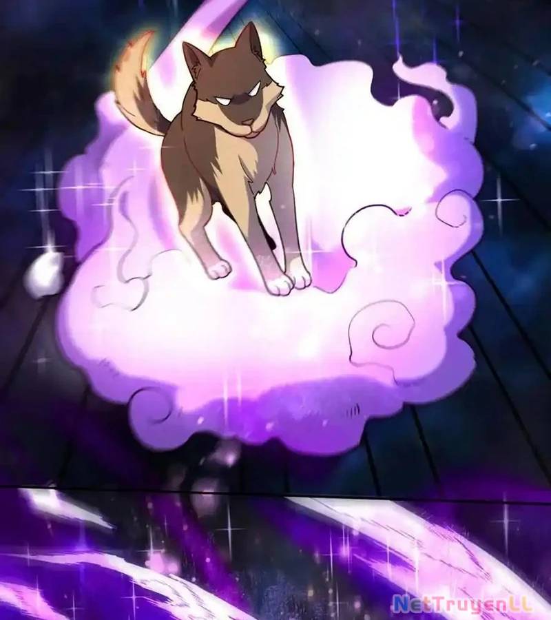 Nguyên Lai Ta Là Tu Tiên Đại Lão: Chapter 432