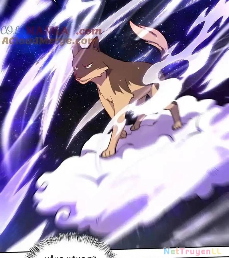Nguyên Lai Ta Là Tu Tiên Đại Lão: Chapter 433