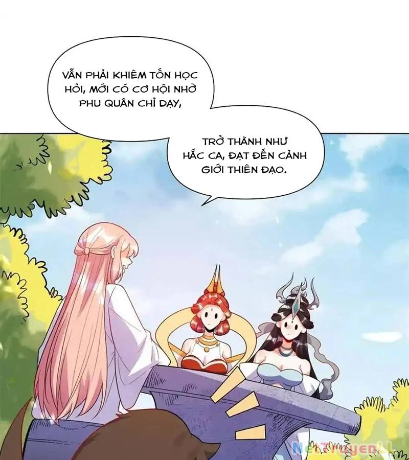 Nguyên Lai Ta Là Tu Tiên Đại Lão: Chapter 435