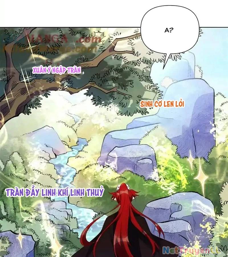 Nguyên Lai Ta Là Tu Tiên Đại Lão: Chapter 435