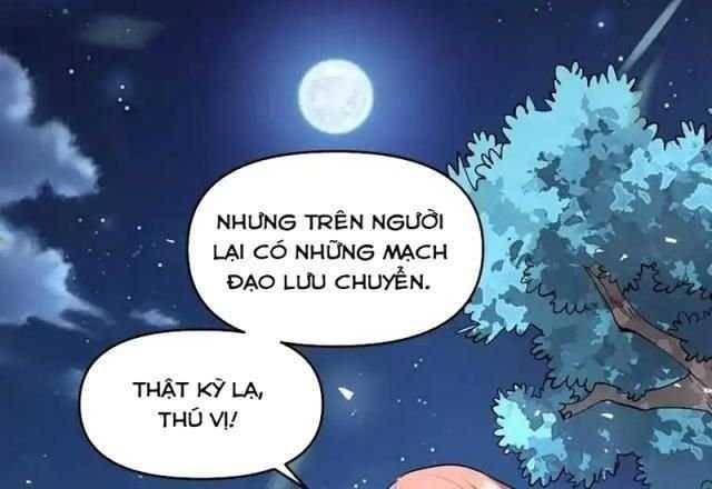 Nguyên Lai Ta Là Tu Tiên Đại Lão: Chapter 443