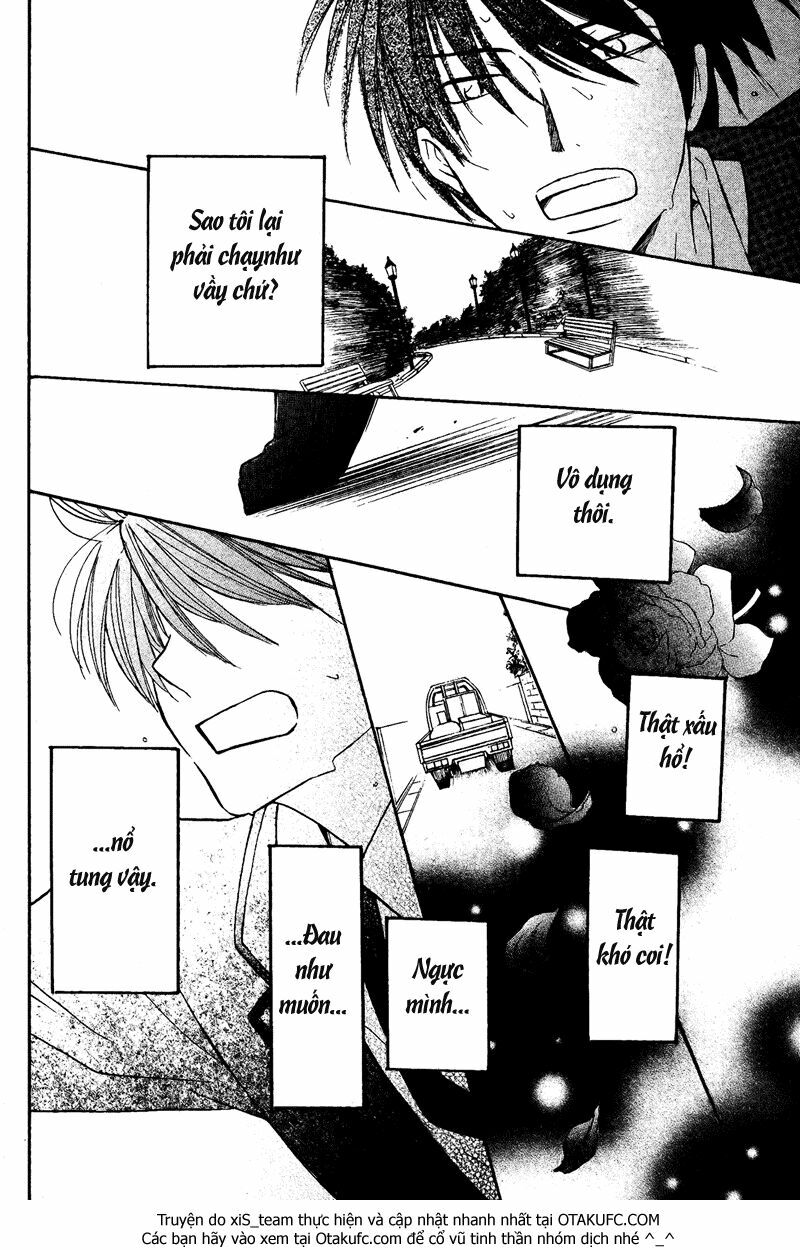 Bara to Zirconia: Chapter 1: One shot