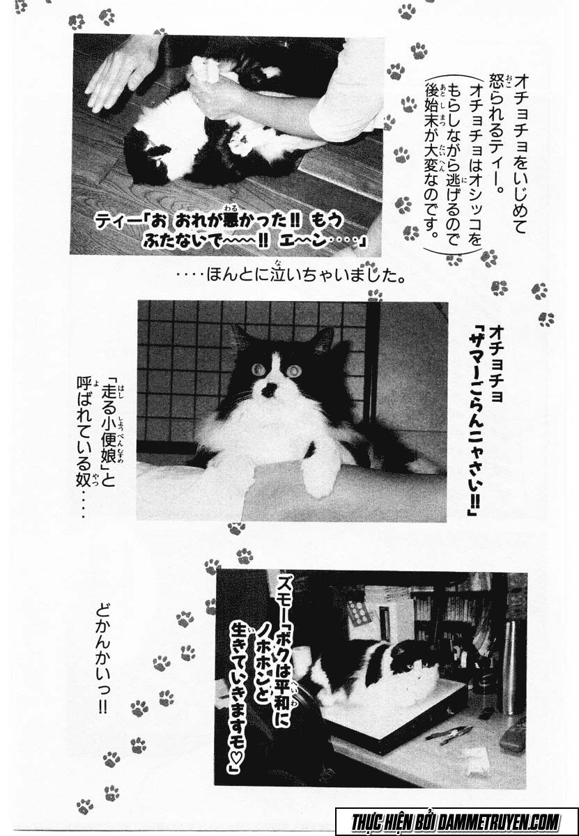 Shin Kotaro Makaritoru! Juudouhen: Chapter 86