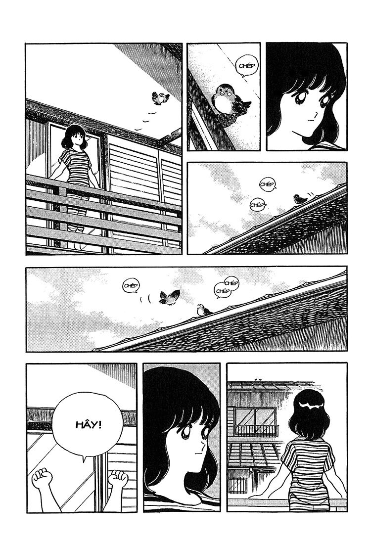 Touch: Chapter 211
