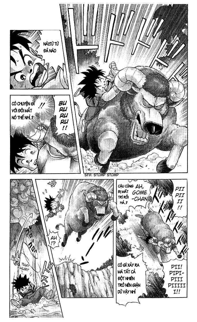 Dragon Quest - Dấu ấn rồng thiêng: Chapter 6