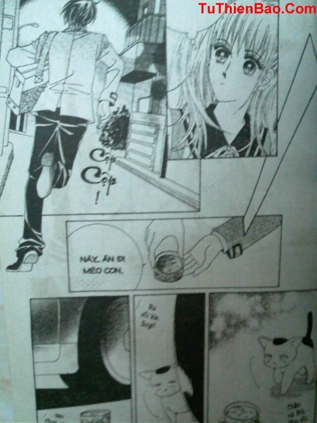 Cô nàng xinh đẹp: Chapter 8