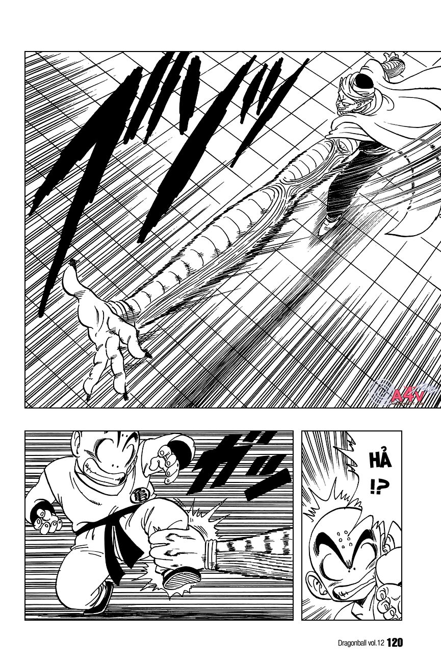Dragon Ball - Bảy Viên Ngọc Rồng: Chapter 173