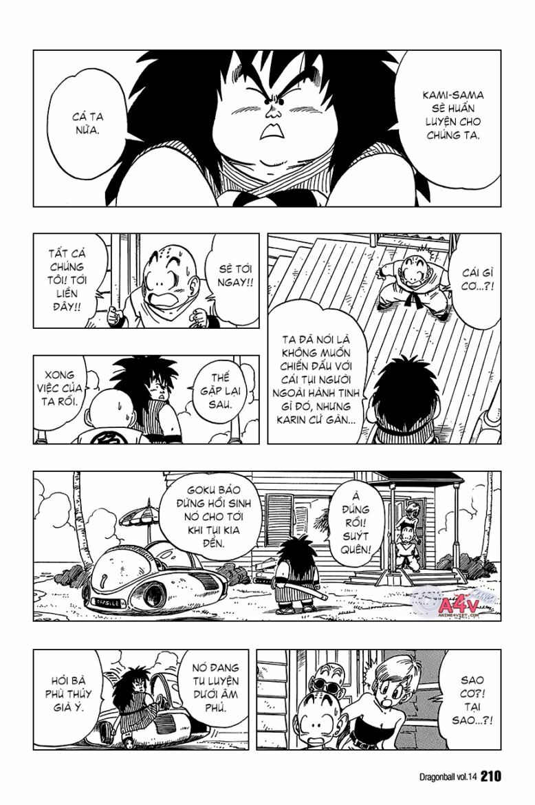 Dragon Ball - Bảy Viên Ngọc Rồng: Chapter 209