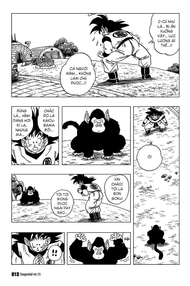 Dragon Ball - Bảy Viên Ngọc Rồng: Chapter 210