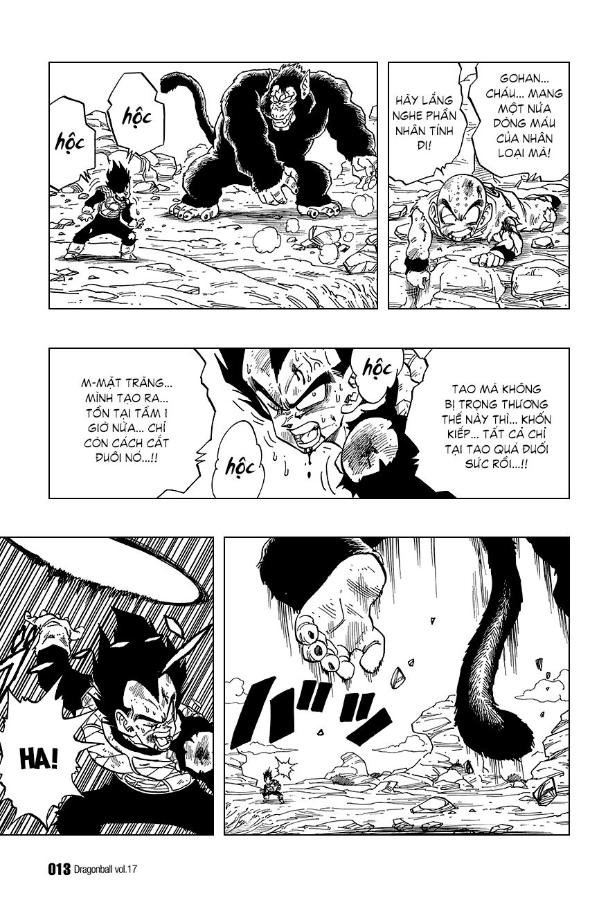 Dragon Ball - Bảy Viên Ngọc Rồng: Chapter 240