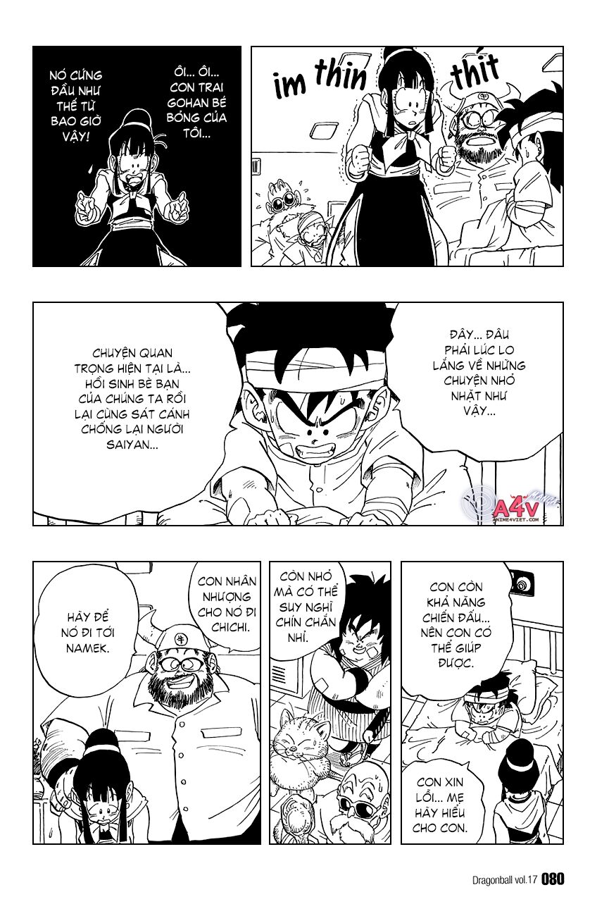 Dragon Ball - Bảy Viên Ngọc Rồng: Chapter 245