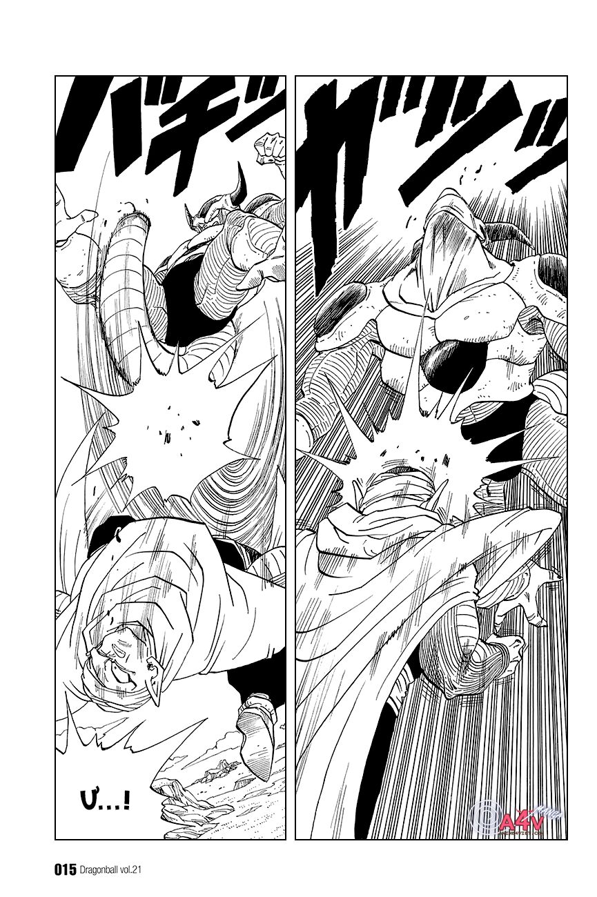 Dragon Ball - Bảy Viên Ngọc Rồng: Chapter 300