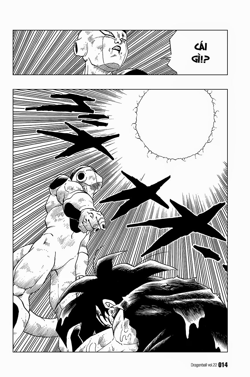 Dragon Ball - Bảy Viên Ngọc Rồng: Chapter 315