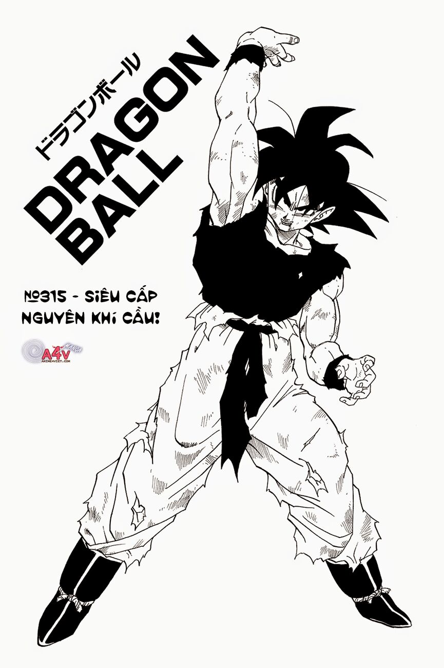 Dragon Ball - Bảy Viên Ngọc Rồng: Chapter 315