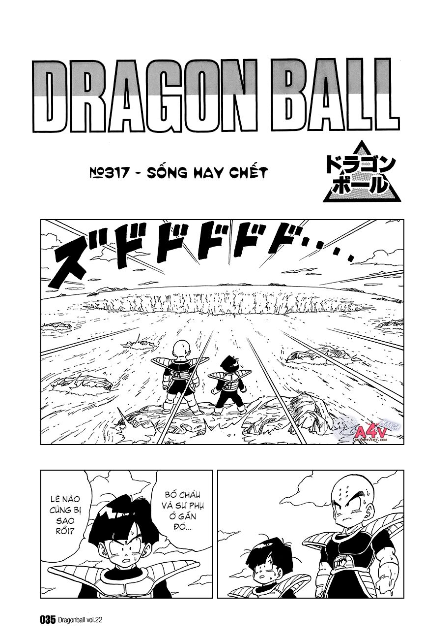 Dragon Ball - Bảy Viên Ngọc Rồng: Chapter 317