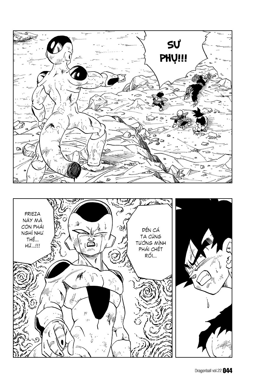 Dragon Ball - Bảy Viên Ngọc Rồng: Chapter 317