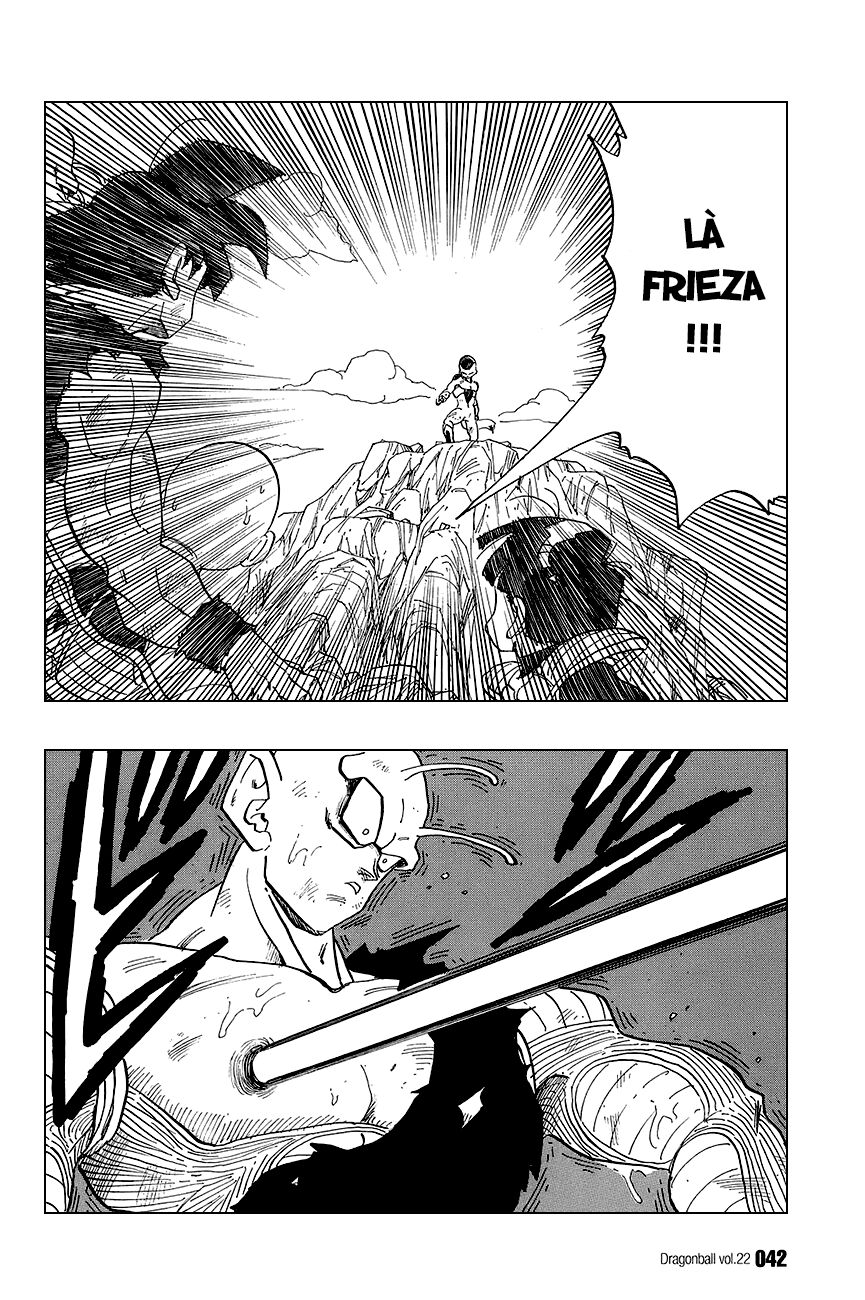 Dragon Ball - Bảy Viên Ngọc Rồng: Chapter 317