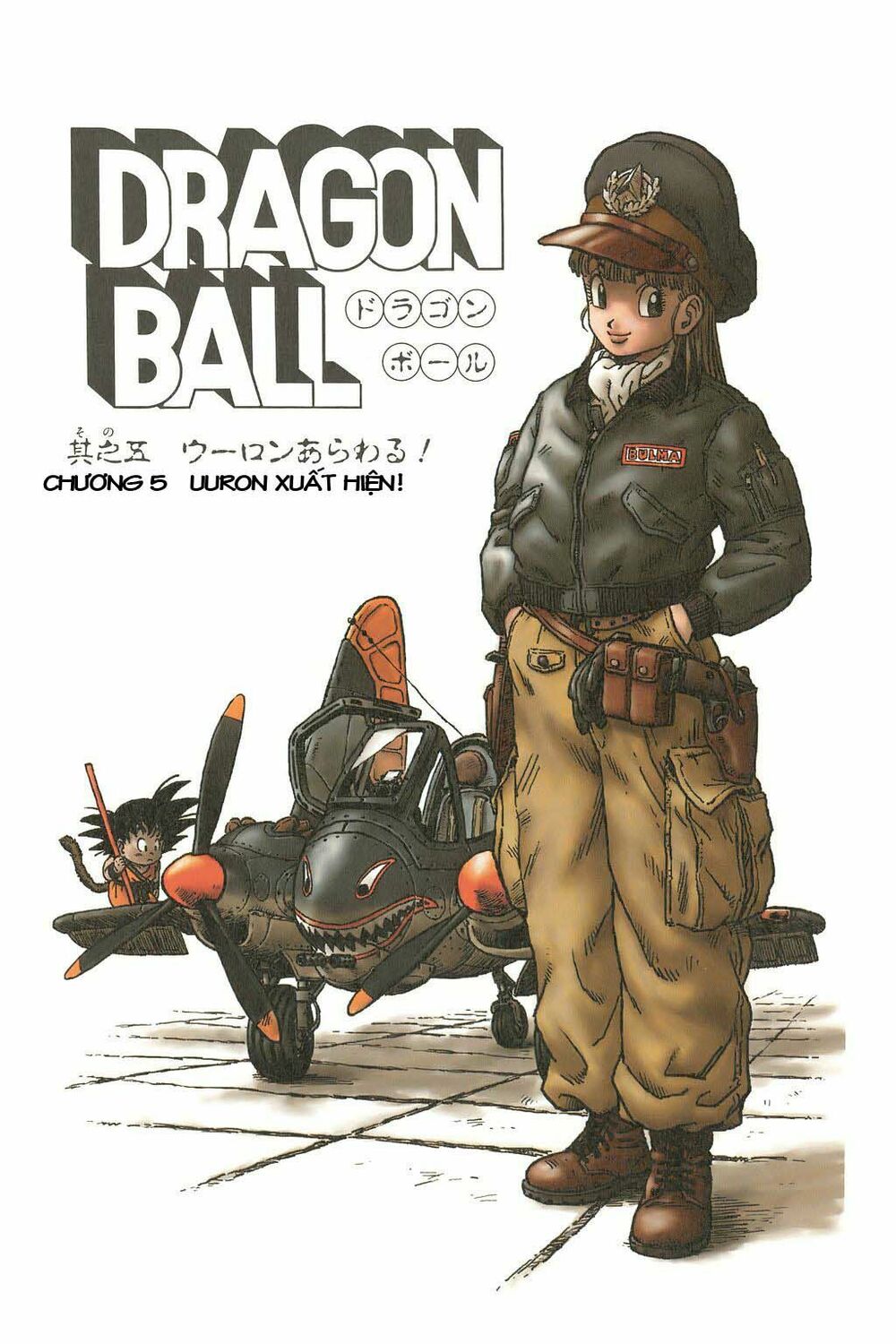 Dragon Ball - Bảy Viên Ngọc Rồng: Chapter 5