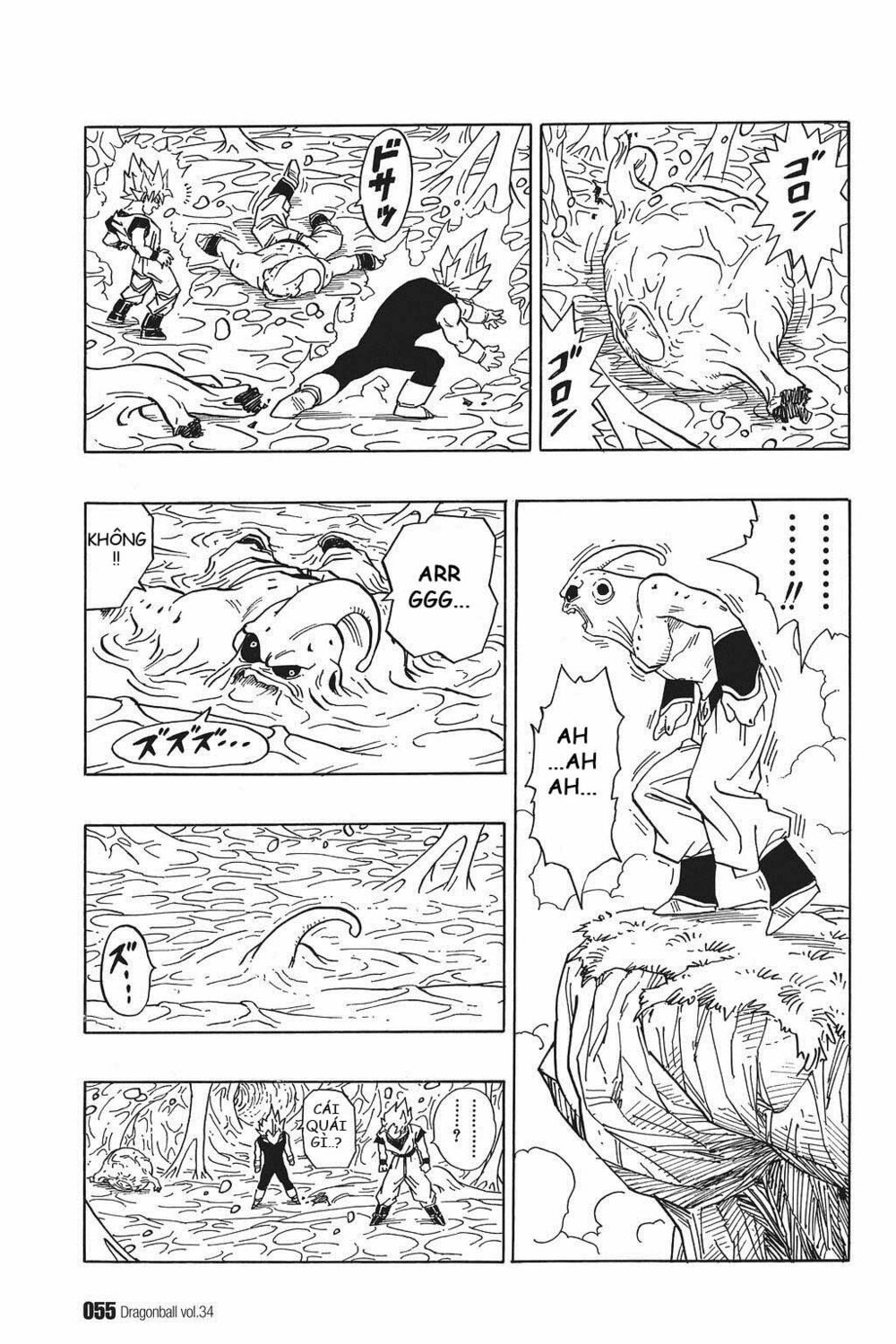 Dragon Ball - Bảy Viên Ngọc Rồng: Chapter 507
