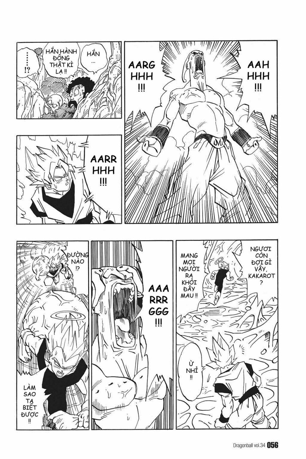 Dragon Ball - Bảy Viên Ngọc Rồng: Chapter 507