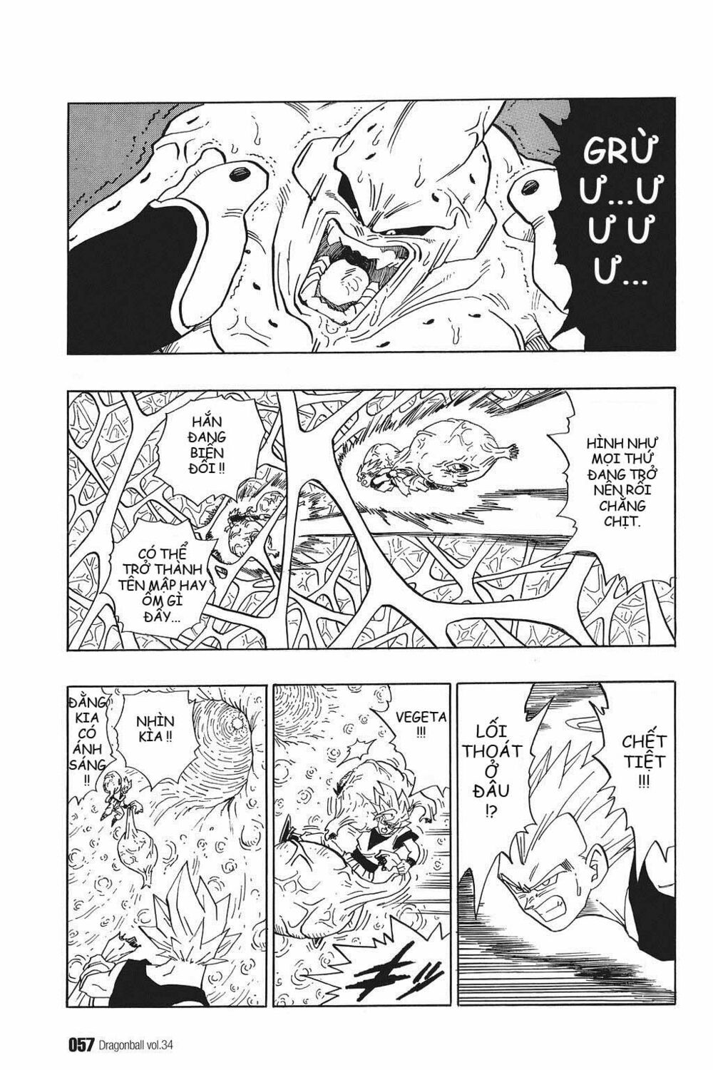 Dragon Ball - Bảy Viên Ngọc Rồng: Chapter 507