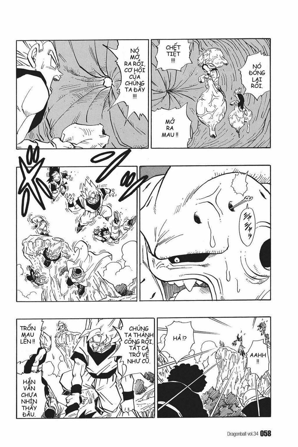 Dragon Ball - Bảy Viên Ngọc Rồng: Chapter 507