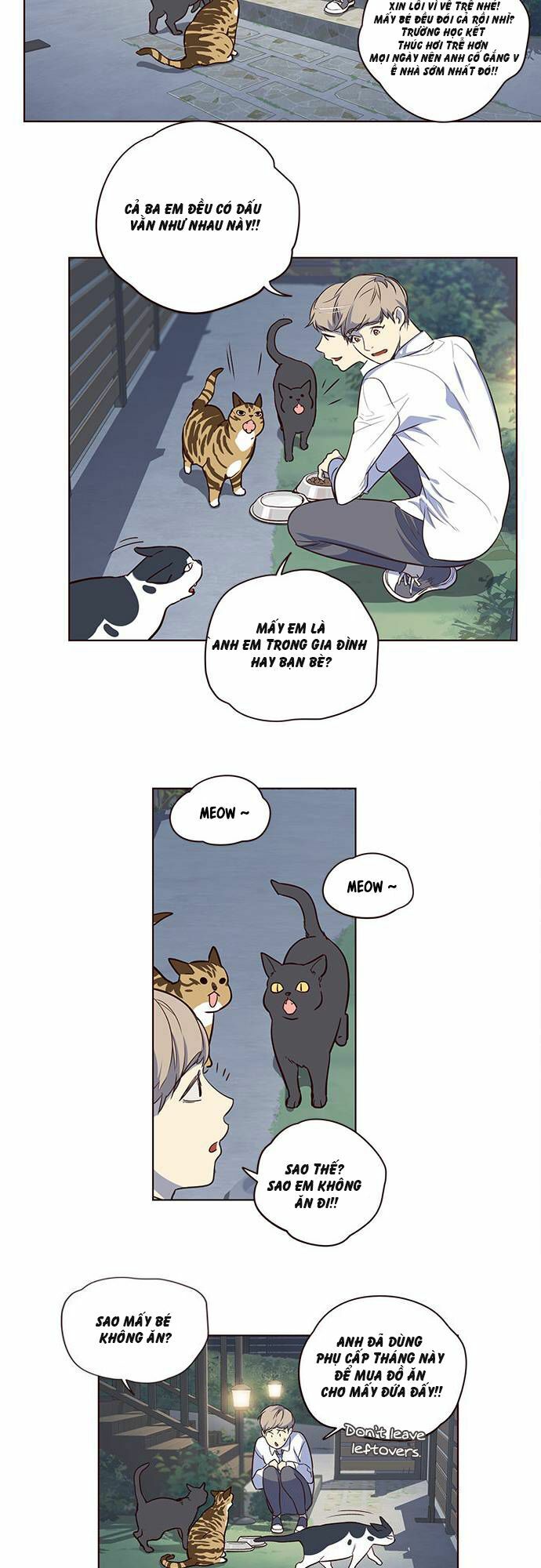 Hoá Thân Thành Mèo: Chapter 1