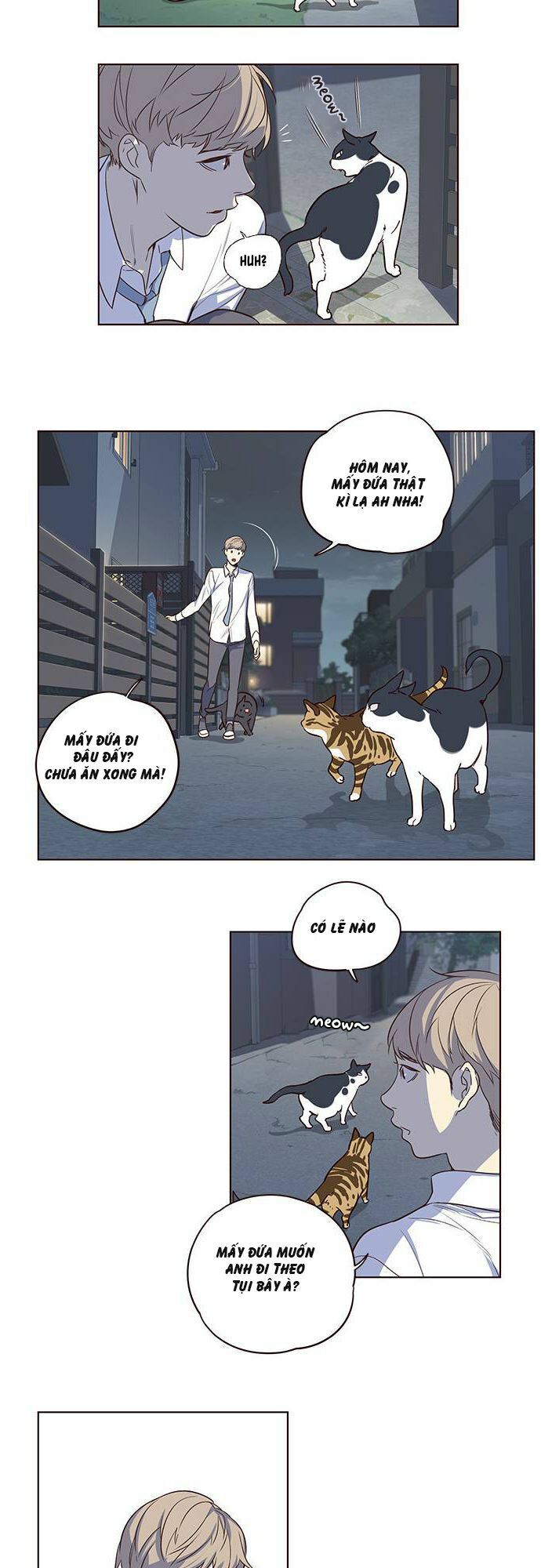 Hoá Thân Thành Mèo: Chapter 1