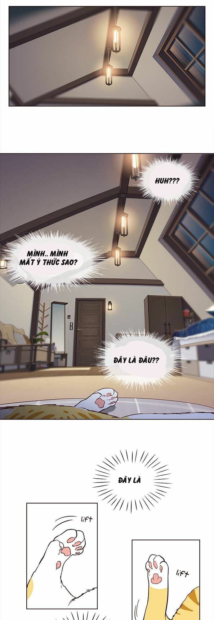 Hoá Thân Thành Mèo: Chapter 1