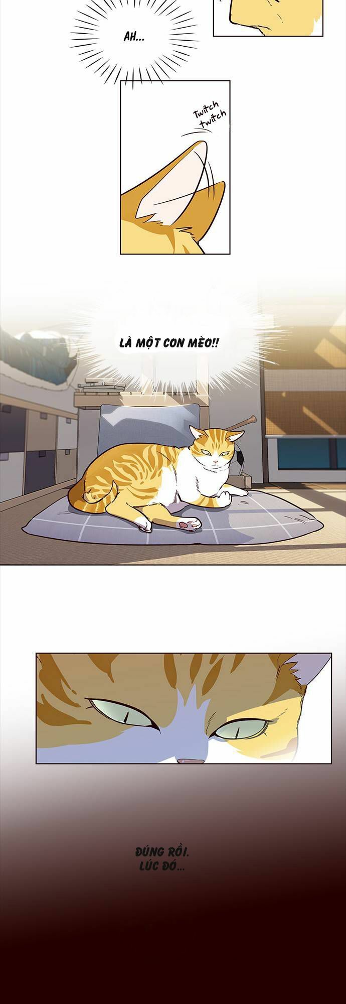 Hoá Thân Thành Mèo: Chapter 1