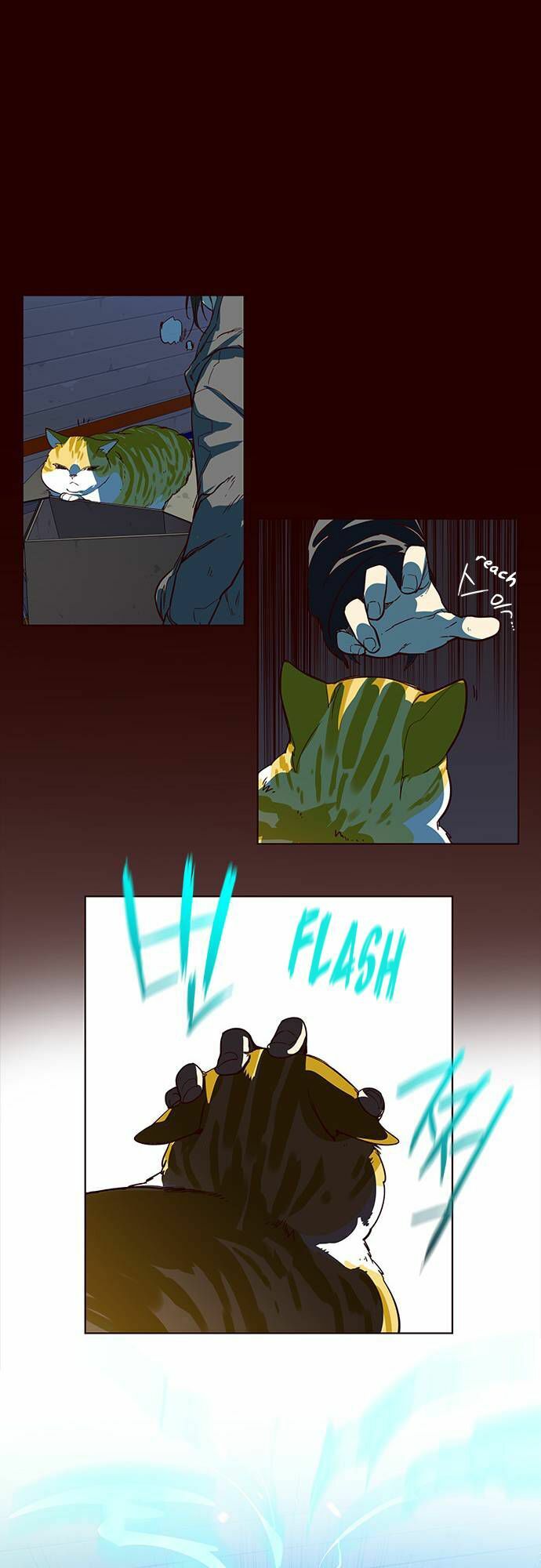 Hoá Thân Thành Mèo: Chapter 1