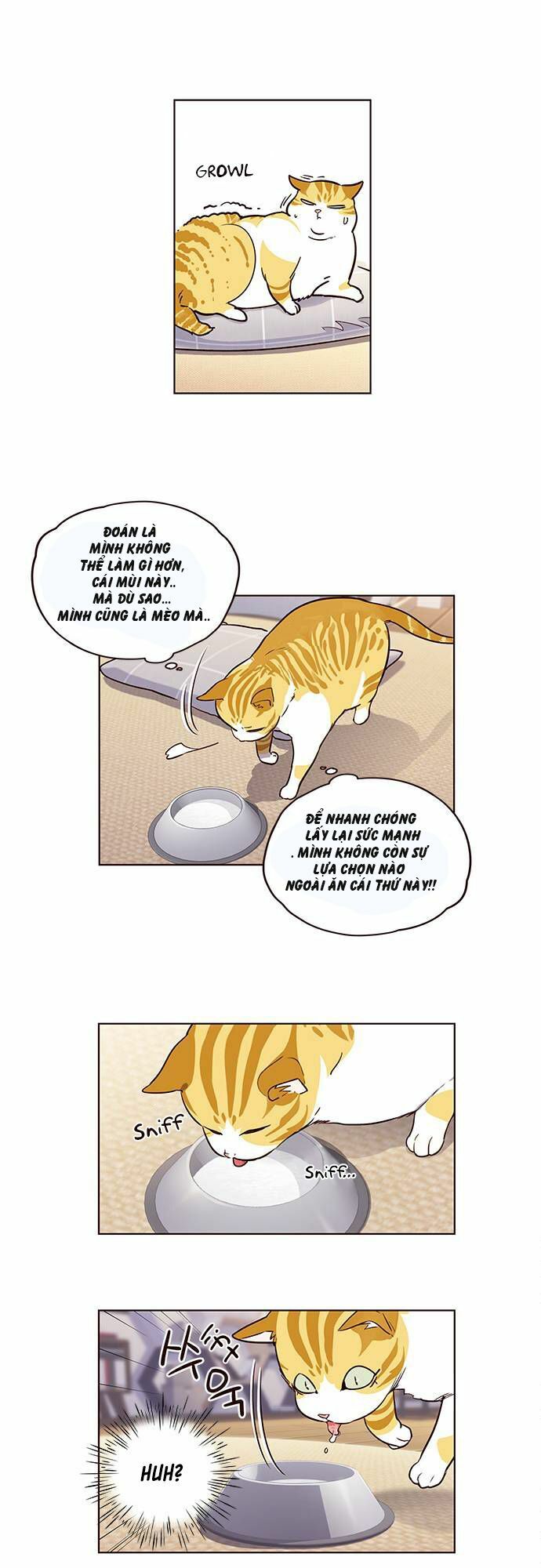 Hoá Thân Thành Mèo: Chapter 1
