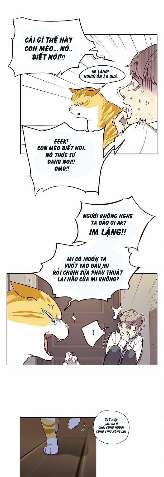 Hoá Thân Thành Mèo: Chapter 1